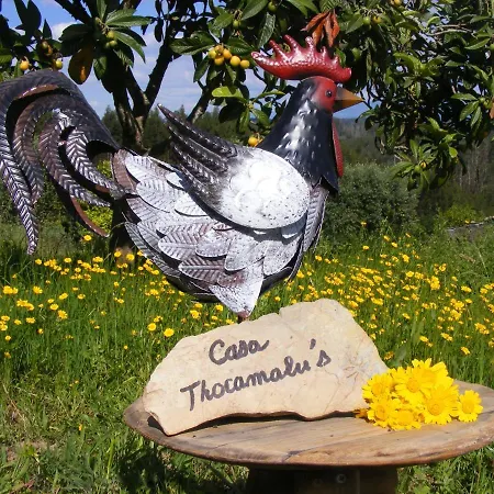 Апартаменты Casa Thocamalu's *