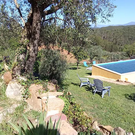 Апартаменты Casa Thocamalu's *