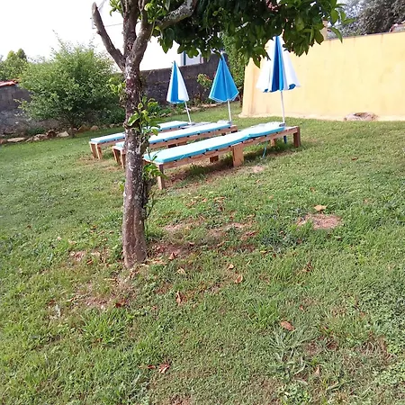 Casa Thocamalu's Covelo (Coimbra)